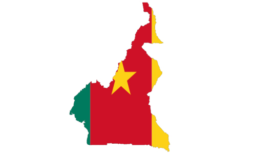 آمار شیعیان کامرون